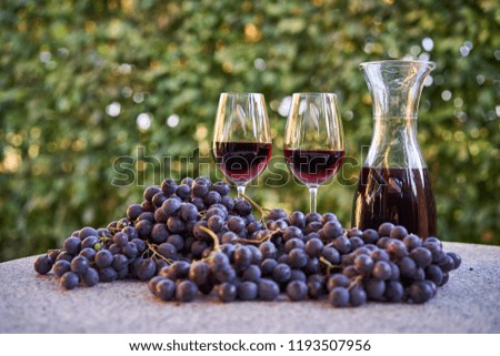 Wine harvest, still life picture consist from fresh riped red grapes, two wineglases of red wine and decanter with red wine on stone table in garden restaurant in autumn.                              