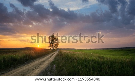 sunset panorama in a field with a road and a tree, Russia, Ural