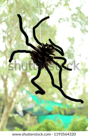 Spider decoration Hanging on Glass Halloween Concept 
