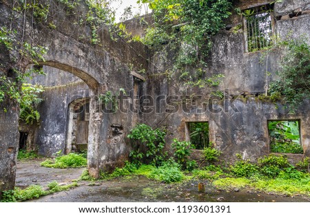 Abandoned old ancient building ruins indoor. Travel to Sao Tome and Principe. Beautiful paradise island in Gulf of Guinea. Former colony of Portugal. Royalty-Free Stock Photo #1193601391