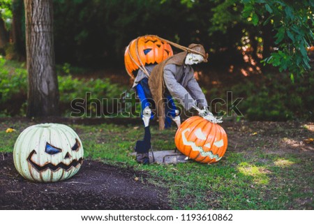 Halloween skeleton with pumpkin in park