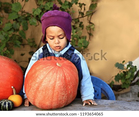 Little boy with a giant pumpkin reel people with background stock image and stock photo