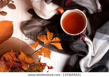 autumn picture with yellow red and orange leaves a cup of tea a scarf. Cup of tea and autumn leaves on a white wooden table