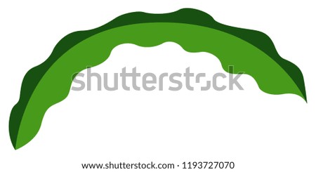 Colorful tropical leaf icon. Vector illustration design