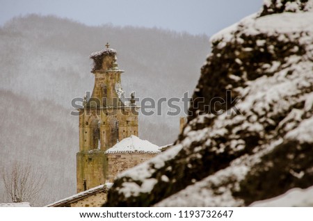 Snow-covered view of the bulrush of the church  