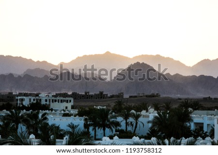the yellow mountains with white hotels and palms in egypt at sunset background