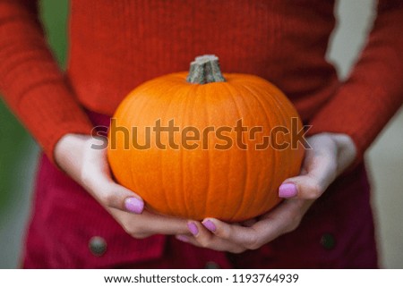 orange pumpkin in the hands
