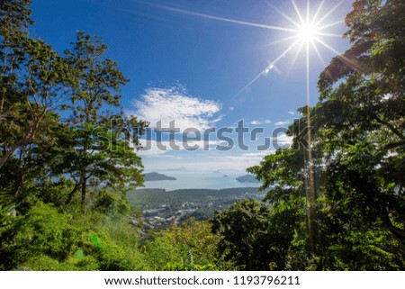 The background of the (natural, sea, mountains, big trees). A close-up wallpaper of a beautiful ecological atmosphere, with bright blue sky.