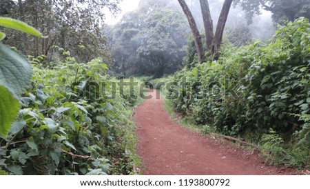Beautiful walking trails
