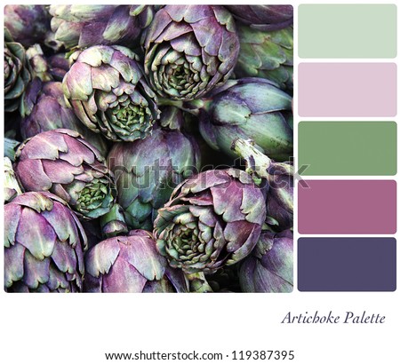 Artichoke background colour palette with complimentary swatches.