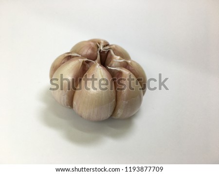 Whole garlic with white background