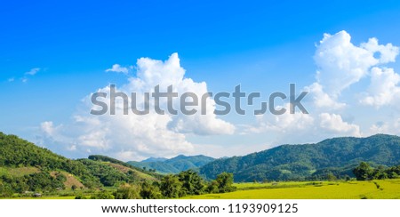 Panorama Green rice field with mountain and blue sky background at Chiang Mai, Thailand