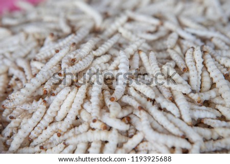 White bamboo worm Background image