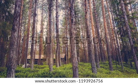 cottage in the forest