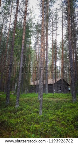 cottage in the forest