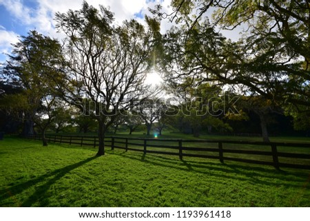 Park, garden, farm, pasture with wooden fence. Beautiful day.
