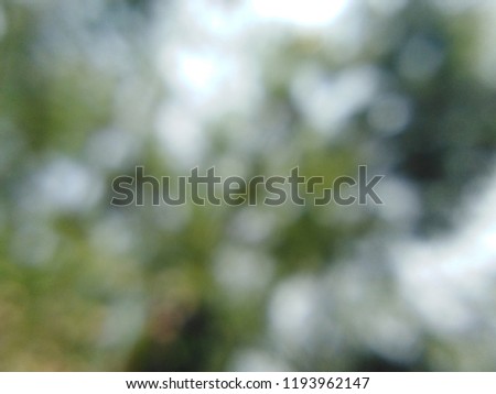 Green bokeh natural background, natural concept and blurred style copy space