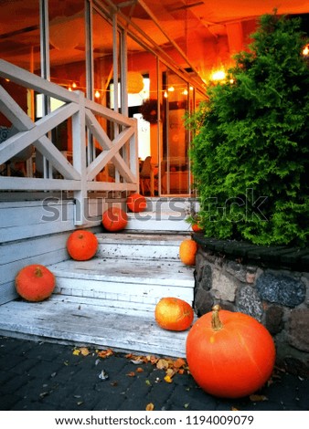 The interior of the street room, decorated in orange tones, with an emphasis on pumpkins, to celebrate Halloween