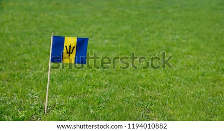 Barbados flag. Photo of Barbados flag on a green grass lawn background. National flag waving outdoors.
