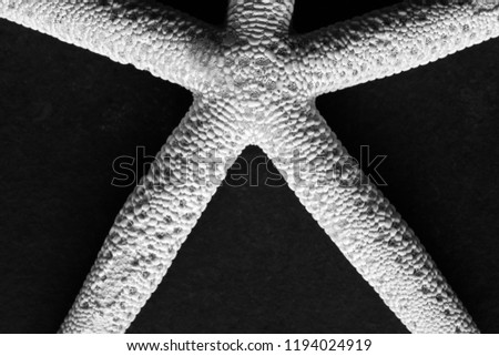 Black and white close up picture of a starfish on a dark background, selective focus.