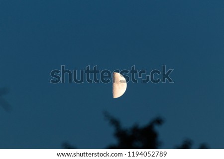 Half moon in the evening skies