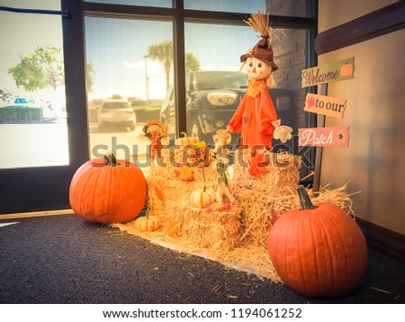 Vintage tone Halloween decoration near office entrance from parking lots. Glass windows wall with natural light on scarecrow, colorful leaves, harvested orange pumpkins, squashes, gourd on hays