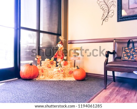 Beautiful Halloween decoration near office entrance from parking lots. Glass windows wall with natural light on scarecrow, colorful leaves, harvested orange pumpkins, squashes, gourd on hays