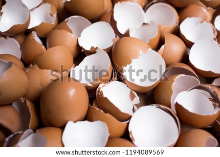 Background of many Eggshells on the wooden table