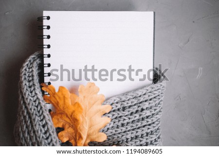 notebook wrapped in a scarf with autumn oak leaves on gray background, top view, with copy space