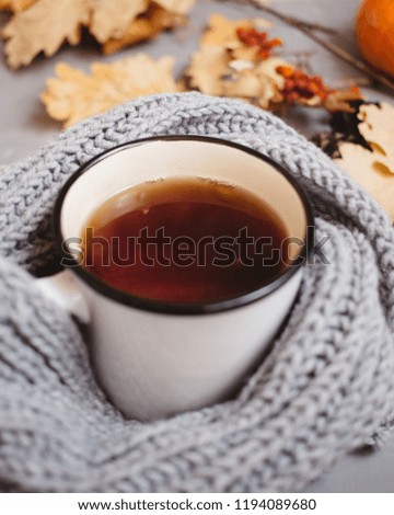 orange and yellow autumn leaves, a Cup of tea wrapped in a warm knitted scarf and Notepad with handle on gray background, top view, with copy space