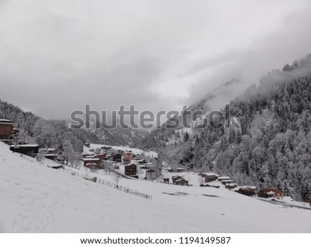 
An Awesome Winter Picture. Sequential Houses and Pine Trees on a Snowy Mountain Slope