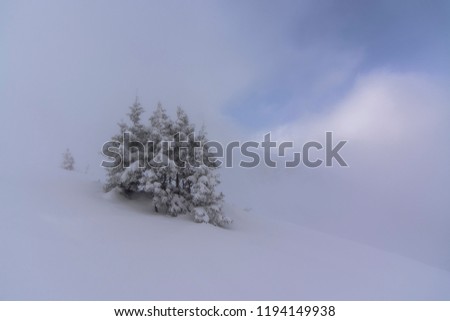 Winter scenery in the carpathian mountains with fresh snow