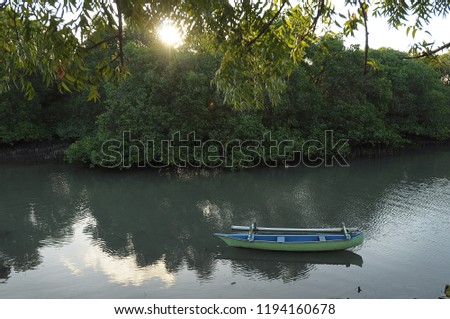 
boats and mangrove trees