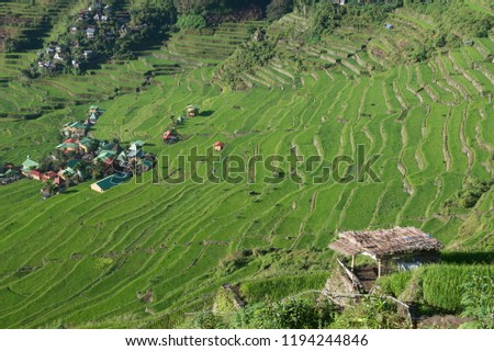 View of rice terraces fields in Banaue, Philippines. The Banaue rice terraces are UNESCO world heritage site since 1995