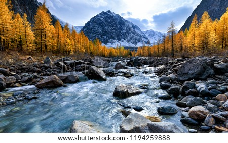 Autumn landscape with Aktru river and peak Karatash. Altai Mountains. Siberia. Russia Royalty-Free Stock Photo #1194259888