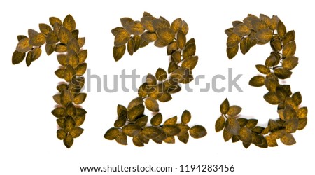 Numbers 1, 2, 3, made, collected from yellow autumn leaves. Isolated on white background. Concept: figure, design, logo, account, set, numeral, digit