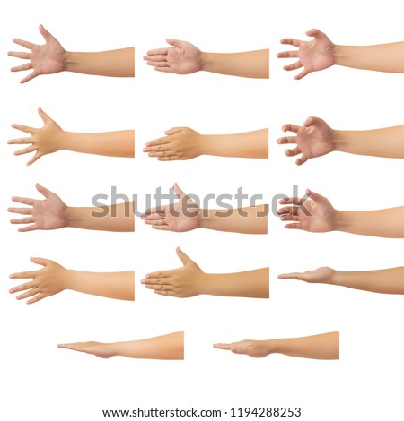 Set of human hand in reach out one's hand and showing 5 fingers gesture isolate on white background with clipping path, Low contrast for retouch or graphic design Royalty-Free Stock Photo #1194288253