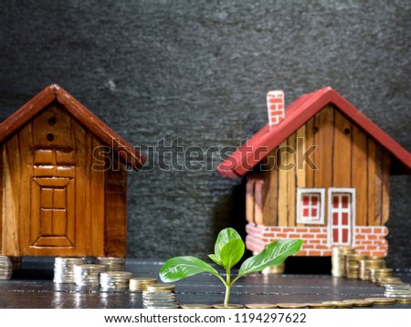 wooden house model and step of coins with plant growing,saving and investment or family planning concept