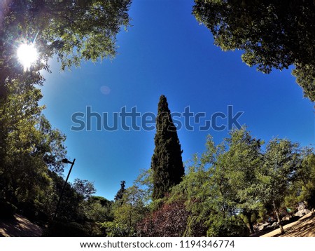 The sun and the moon in the same image,Roman circus park,
Photography with super wide angle,