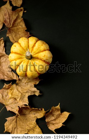 autumn composition with leaves and pumpkin on a black background