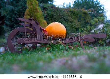 Pumpkin as a symbol of autumn and hellowen.