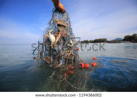 fisherman hand holding net with Sea crab