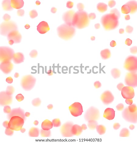 Rose gold petals flying cosmetics vector background. Gentle showering flower blooming parts vector. Pink gold petals falling invitation background. Valentine or natural cosmetics design.