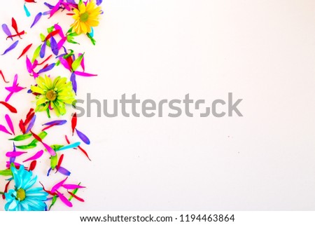 colorful flowers isolated on white background