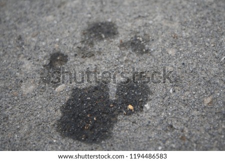 Footprints on wet pavement