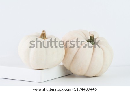 two white pumpkins on a white background