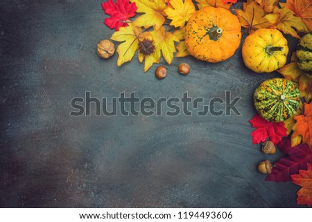 Autumn background with colorful leaves and pumpkins