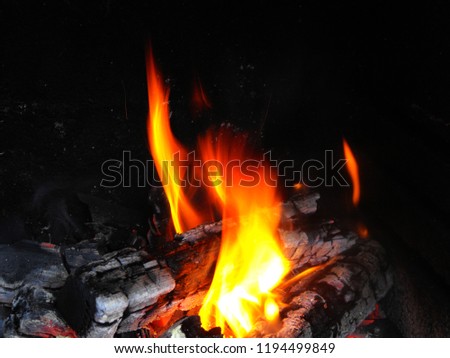 fire and flames on a log in the fire place