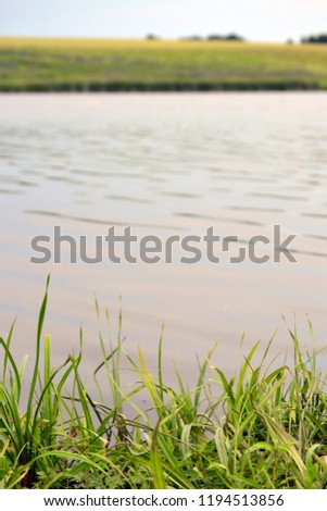 Beautiful landscape. River bank, forest. Camping. Background.
