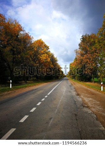 
Autumn road between the trees, September. Golden autumn in Europ